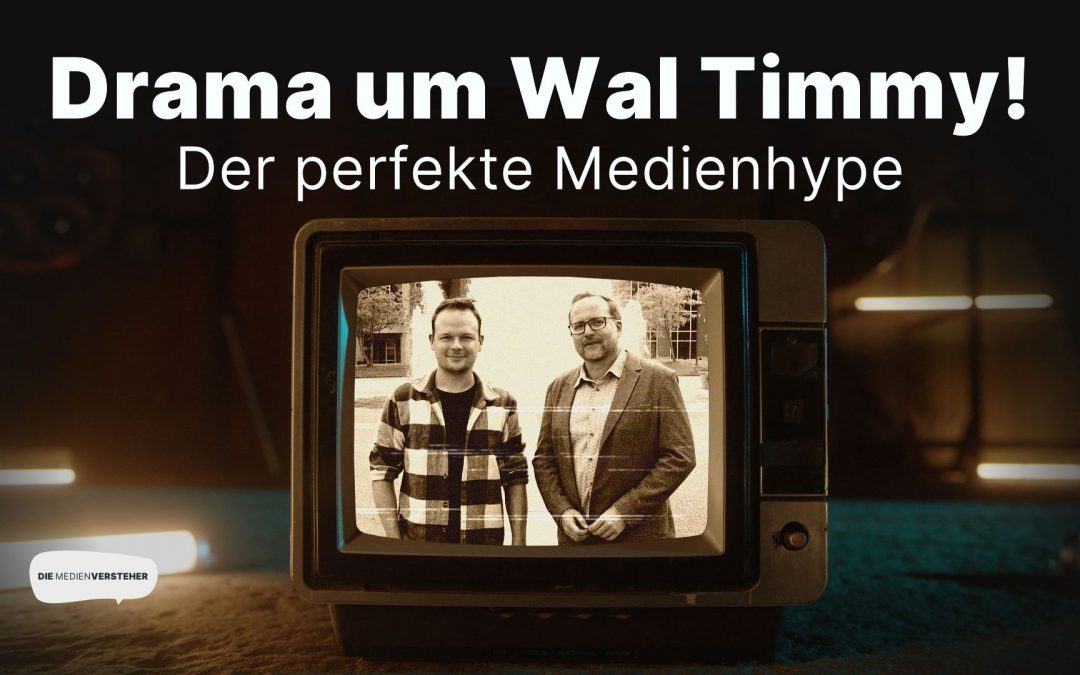 Neue Podcast-Folge: Drama um Wal Timmy